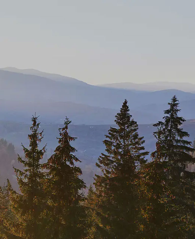 Placa de melamina com design de couro